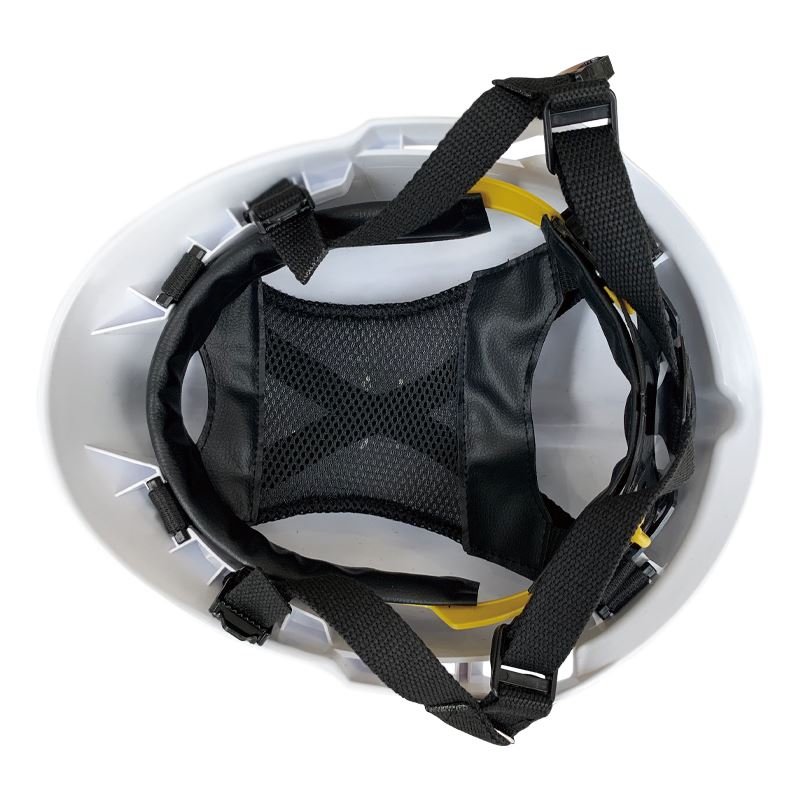 Riot Shield Helmet